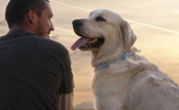 如何才是正确的生活态度