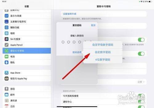 iPad Pro怎么置密码类型