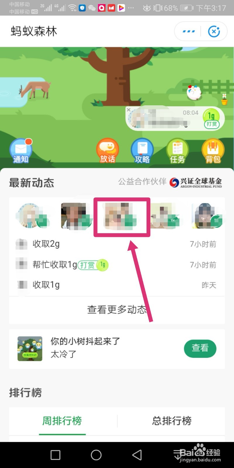 支付宝的能量怎么才能有很多