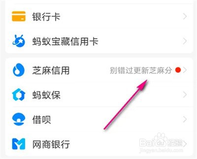 支付宝怎么申请芝麻签证报告