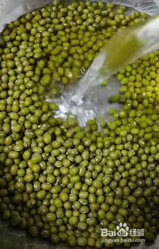 绿豆芽怎么生粗壮又白