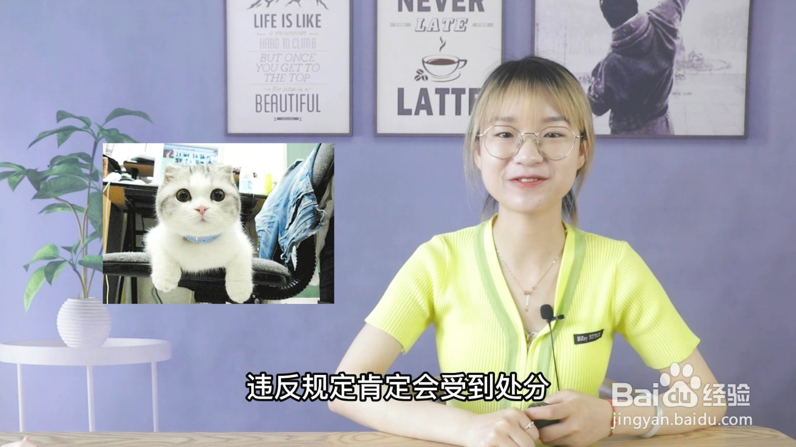 大学养宠物会被记过吗