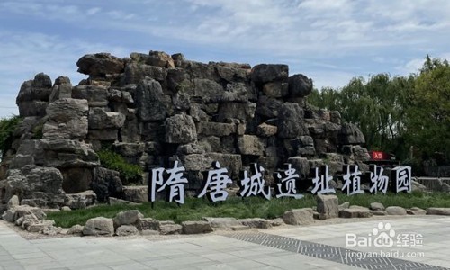 2021洛阳牡丹攻略