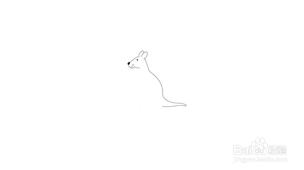 袋鼠简笔画教程