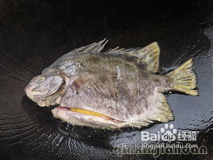 豆瓣酱焖金鼓鱼