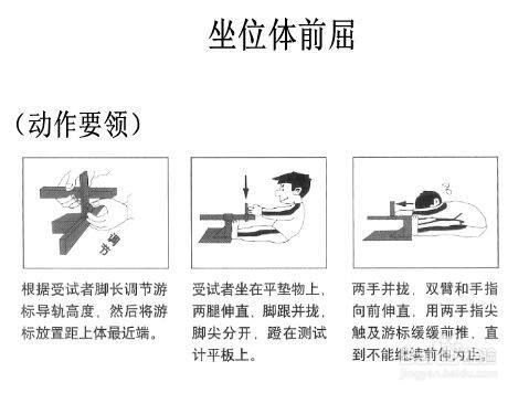 体前屈的正确做法 百度经验