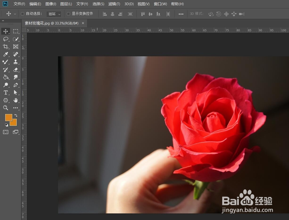 <b>使用PS(Photoshop)制作不同颜色的玫瑰花</b>