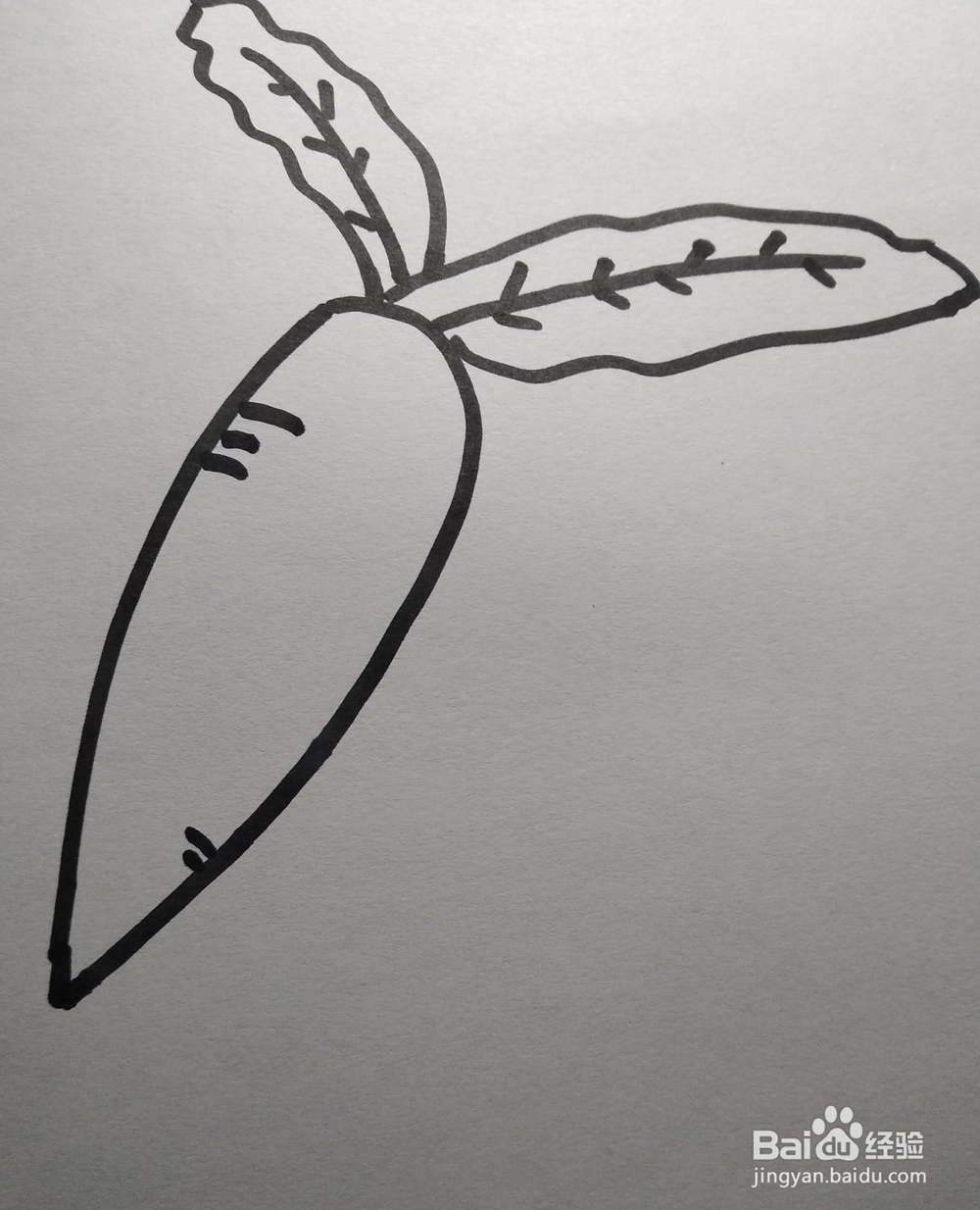 胡萝卜的简笔画怎么画