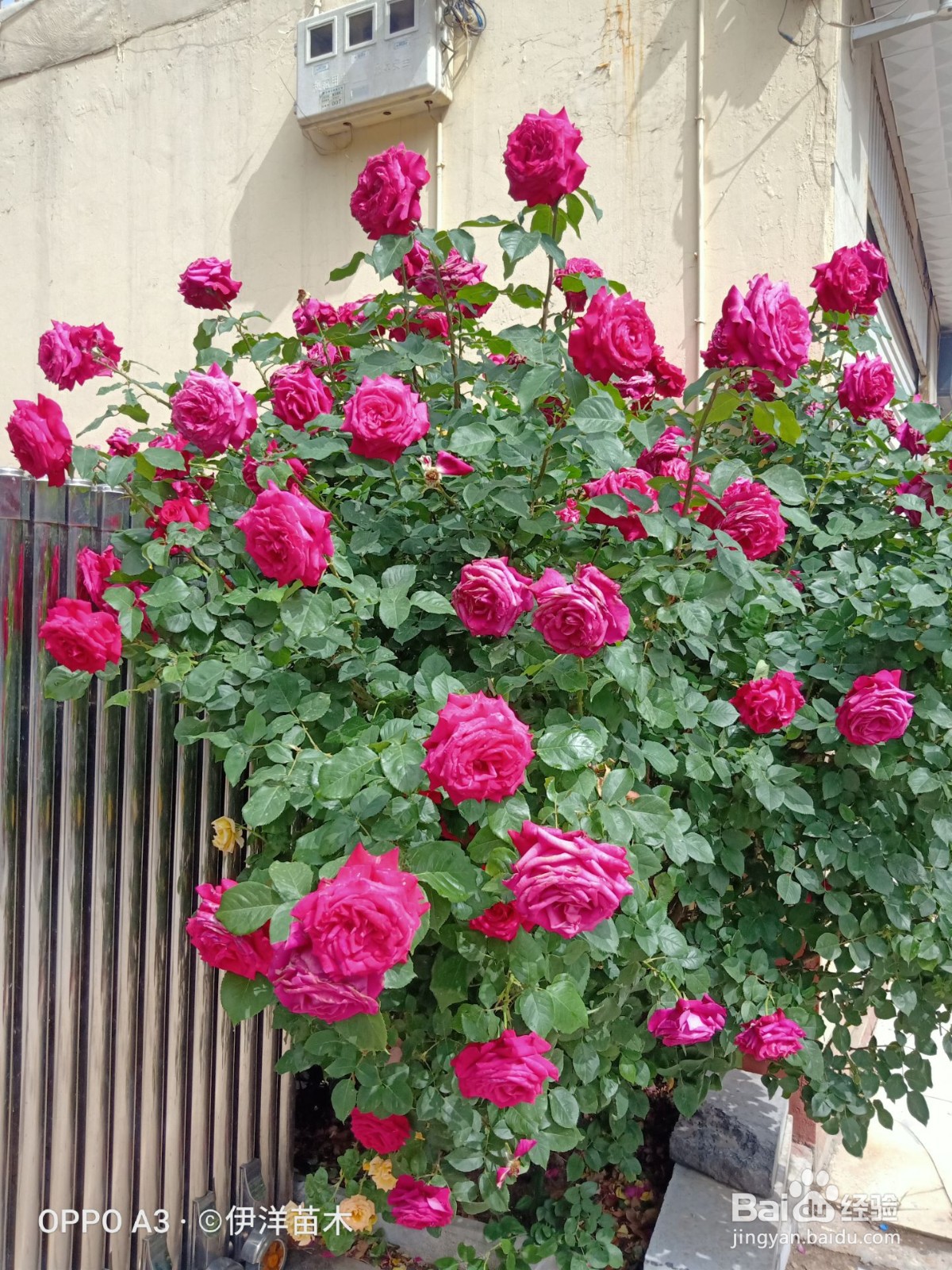 会计(十六)未分配利润