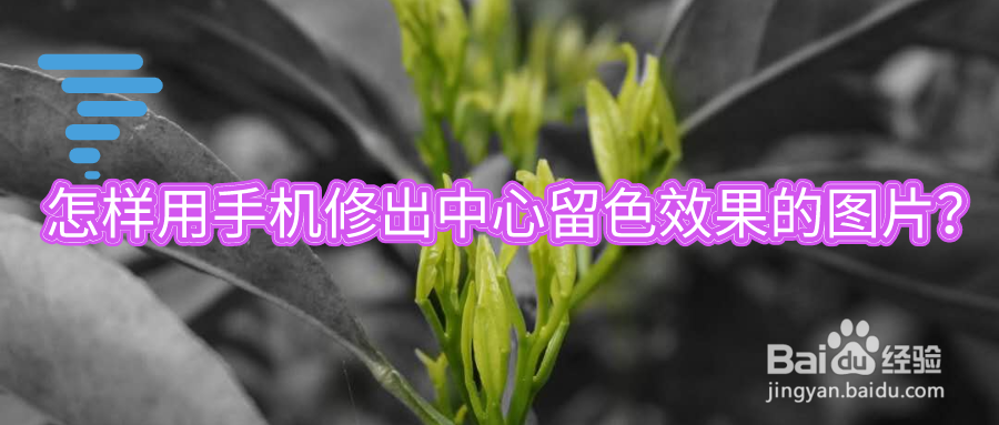 【教程】怎样用手机修出中心留色效果的图片
