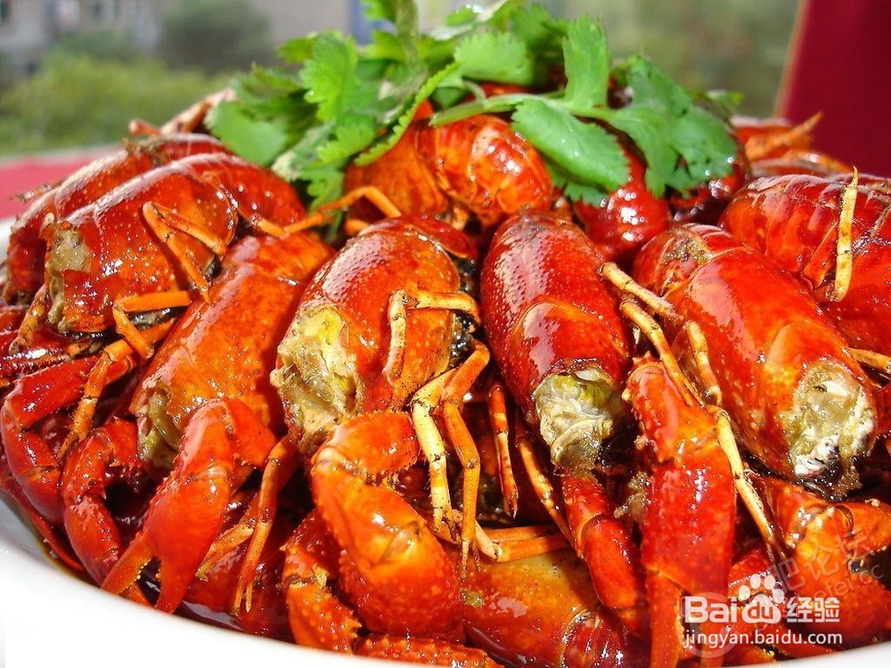 龙虾需清洗干净才能吃哦