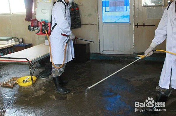 怎么预防新型冠状病毒肺炎?