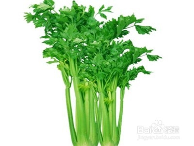 保护牙齿吃什么好