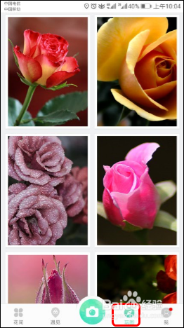 使用识花APP【形色】识别各种植物、花草、果蔬