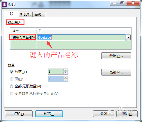 NiceLabel中如何创建键盘输入变量