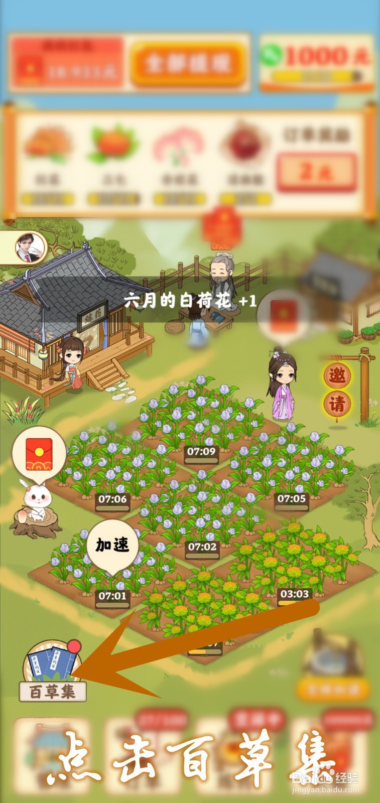 神农百草园怎么点亮百草集六月的白荷花