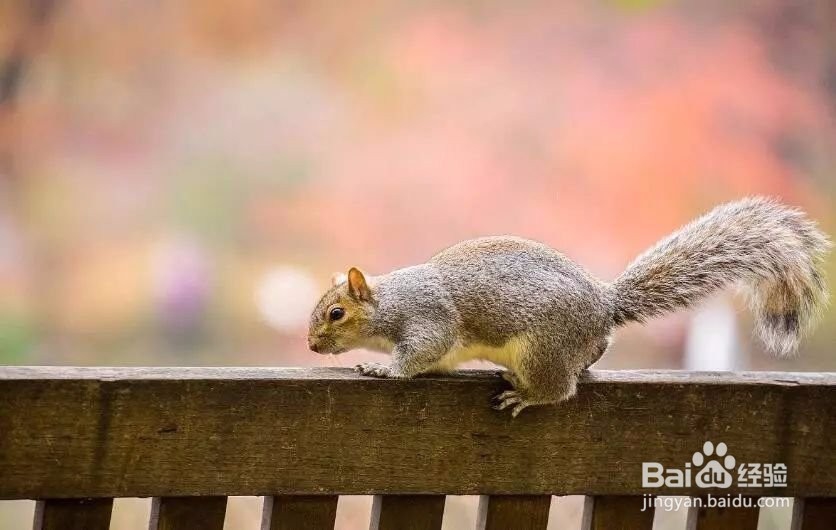 5个摄影小技巧，拍出碾压朋友圈的风光照！