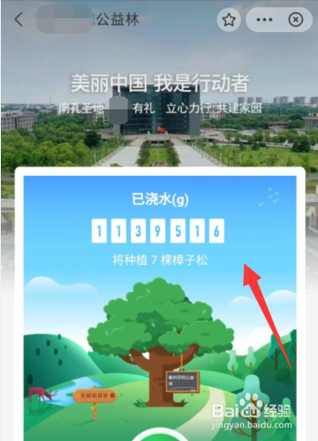 如何在蚂蚁森林中找到自己学校的公益林