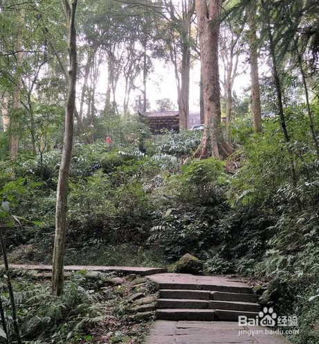 峨眉山自驾游攻略 春节