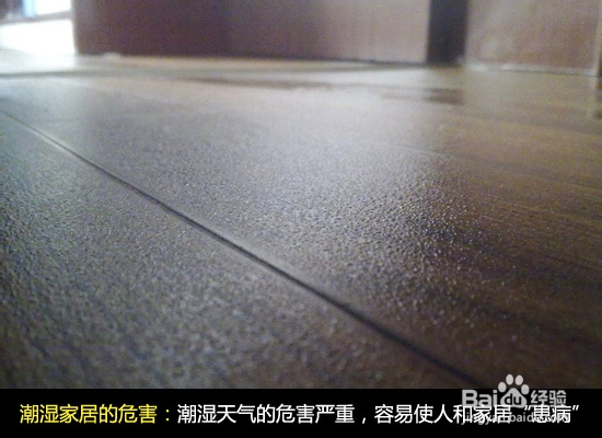 家里潮湿发霉怎么破