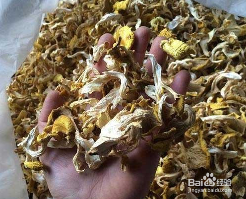 玉皇菇的做法大全