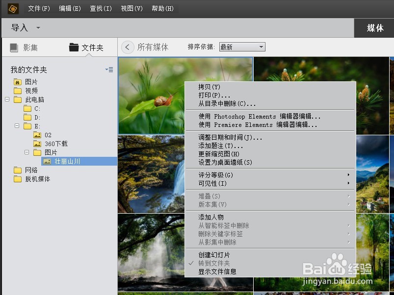 PS Elements 2020 怎样缩放照片大小