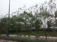 深圳白领周末休闲推荐之深秋探寻田园古屋