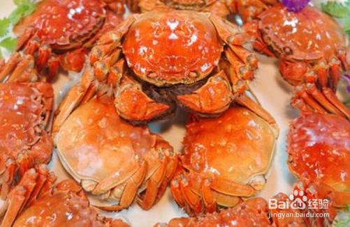 秋季去华东怎么吃大闸蟹
