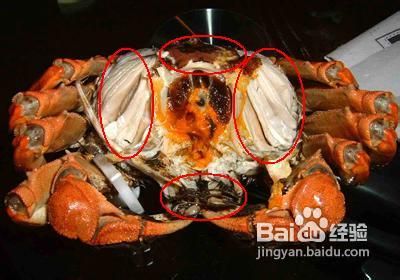 吃螃蟹注意事项