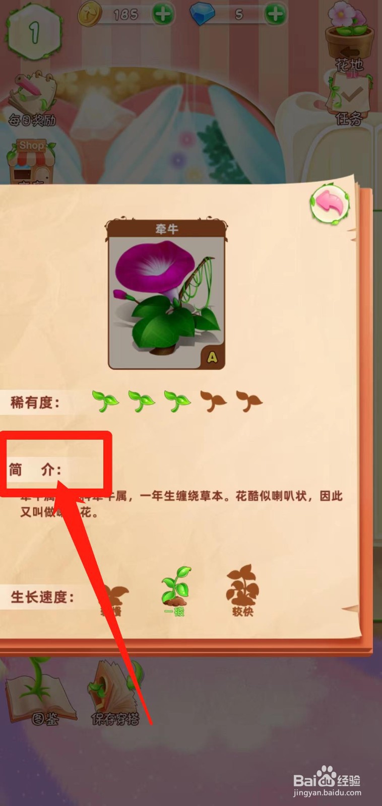 花花姑娘之魔法花园如何查看牵牛简介
