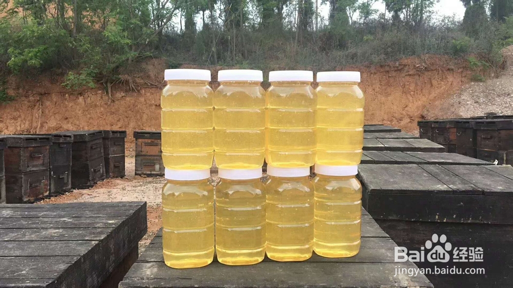 夏天,为什么说柠檬和蜂蜜泡水是最佳搭档?