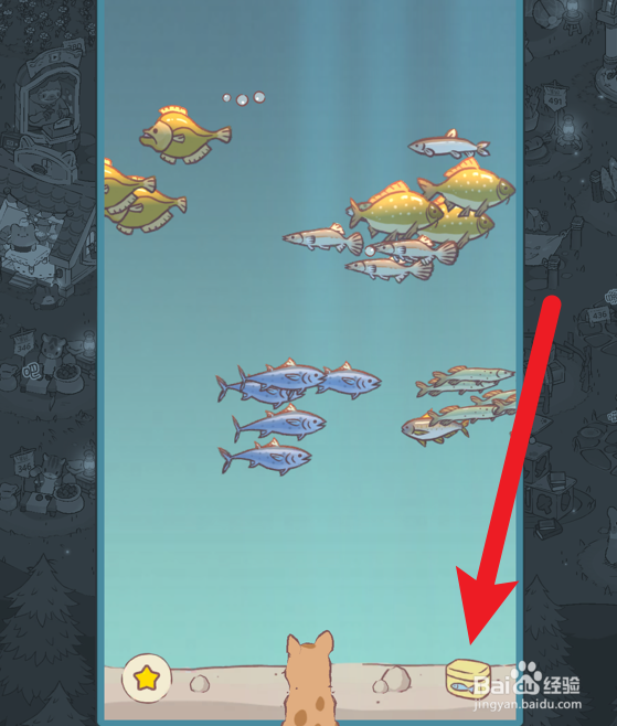 猫咪和汤怎么将鲷鱼放入水族馆