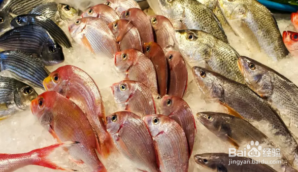 哪些食物可以提高免疫力