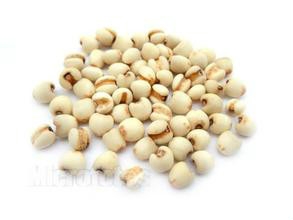 5种防病保健的药粥