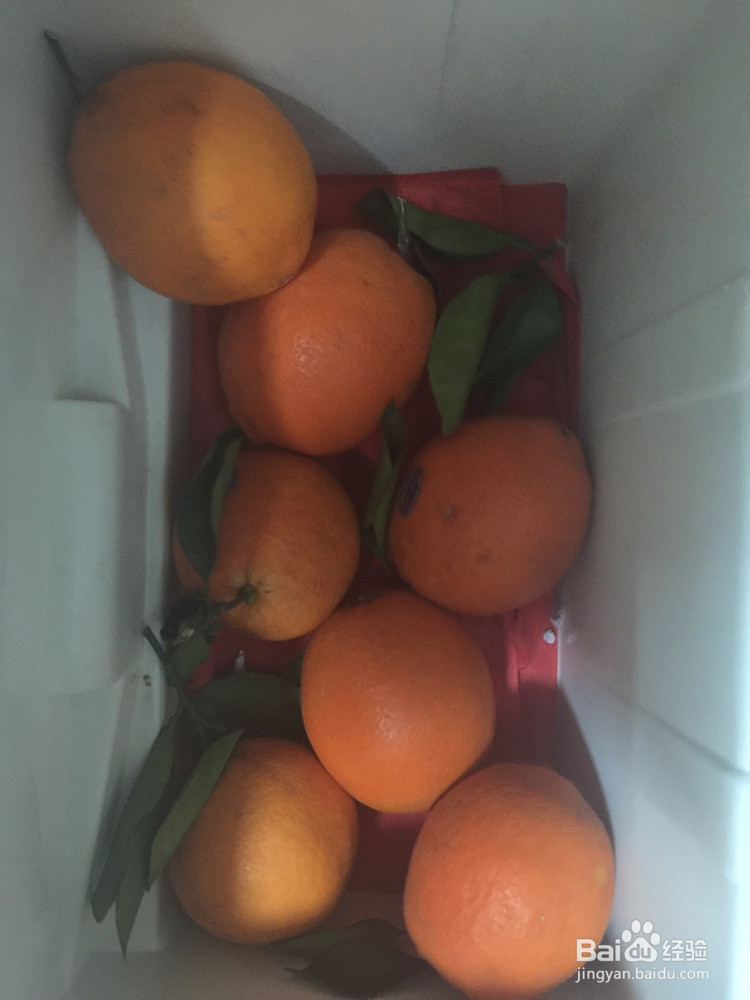 无糖橙香面包的做法
