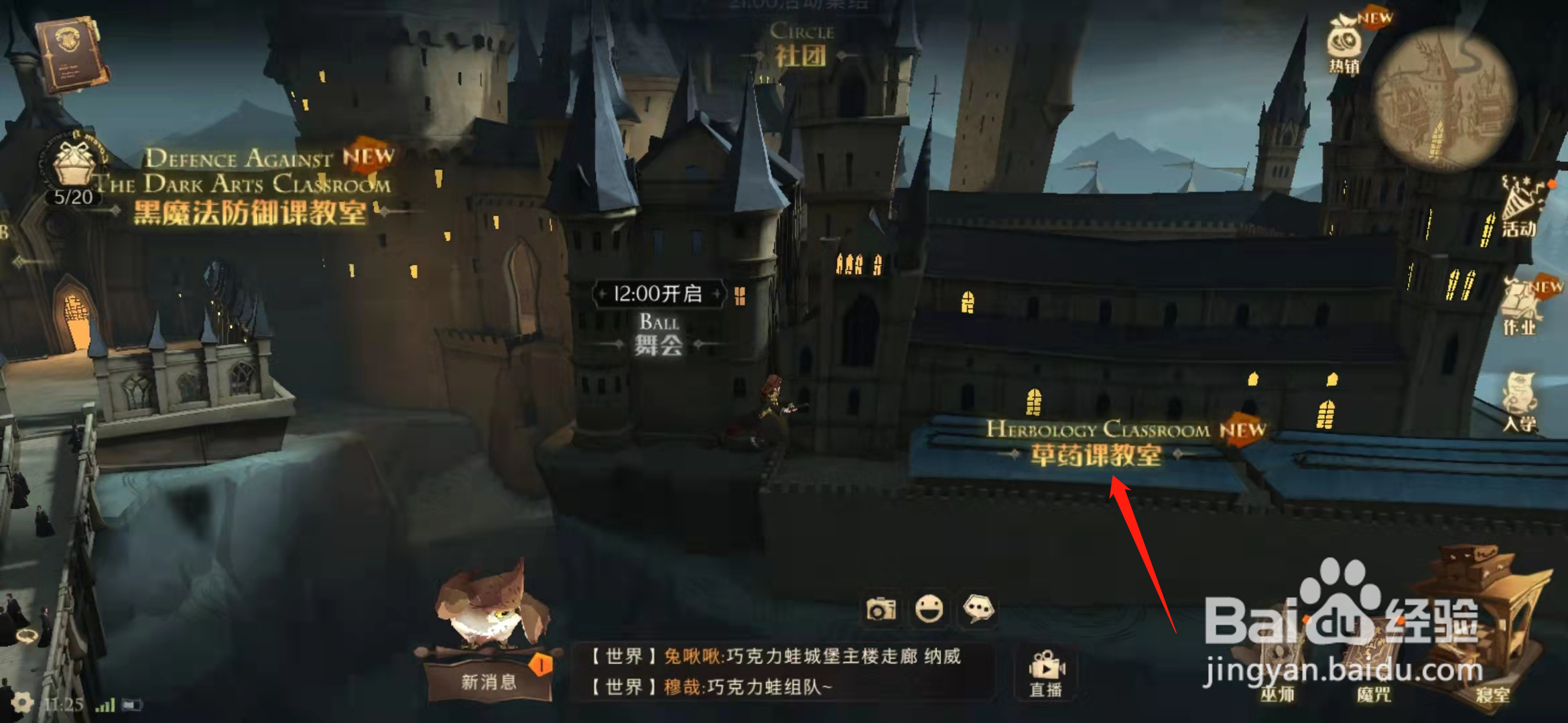 哈利波特魔法觉醒隆巴顿教授的草药线索攻略