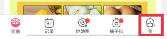 美柚怎么查看柚币明细