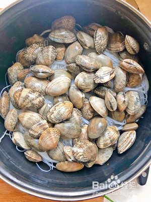 家常美味花蛤粉丝煲