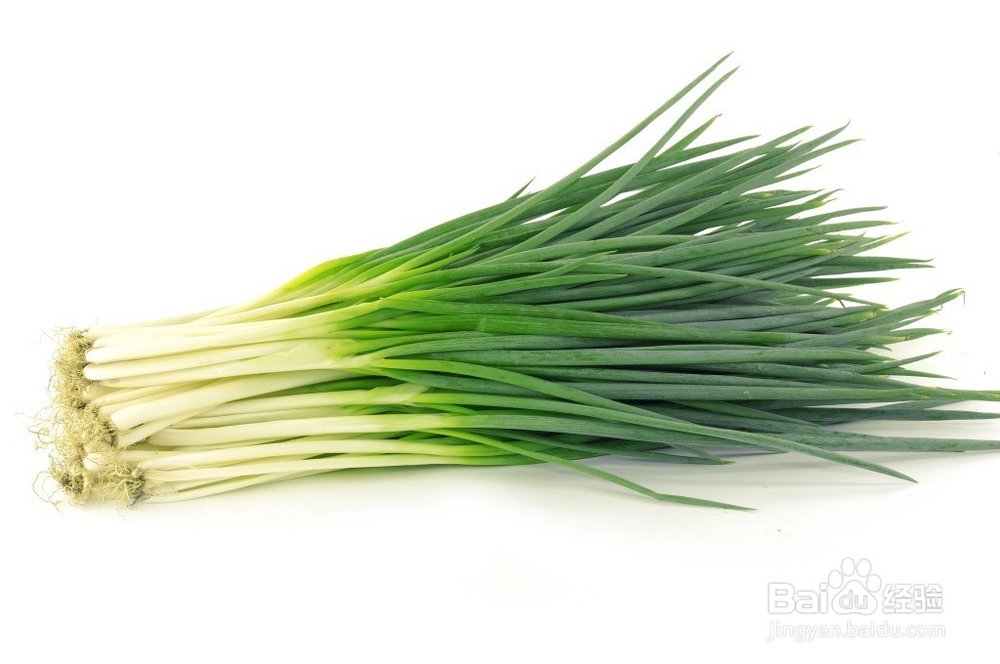 孩子不爱吃蔬菜怎么办呢？