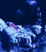 神秘水底洞穴逃生攻略：[1]