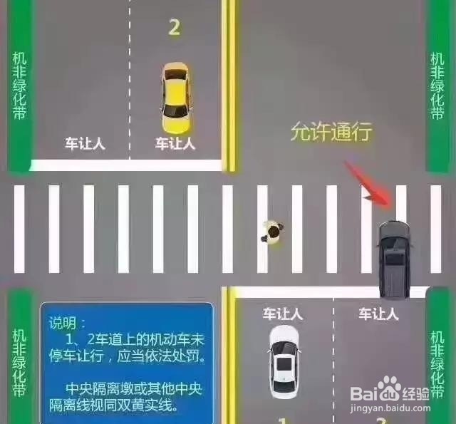 如何在斑马线前礼让行人？