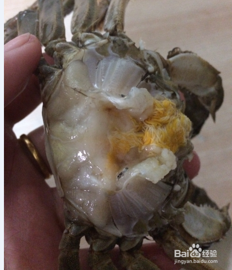 年夜饭大菜之香辣蟹