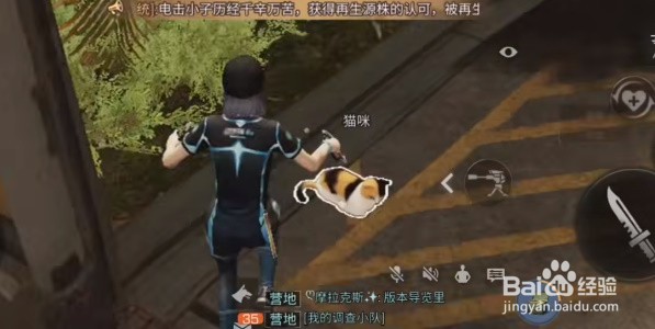 明日之后猫咪的谢礼怎么领取