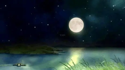 春江花月夜常考重点句有哪些