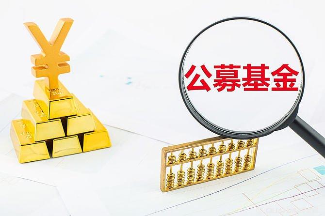 国外有公募基金吗