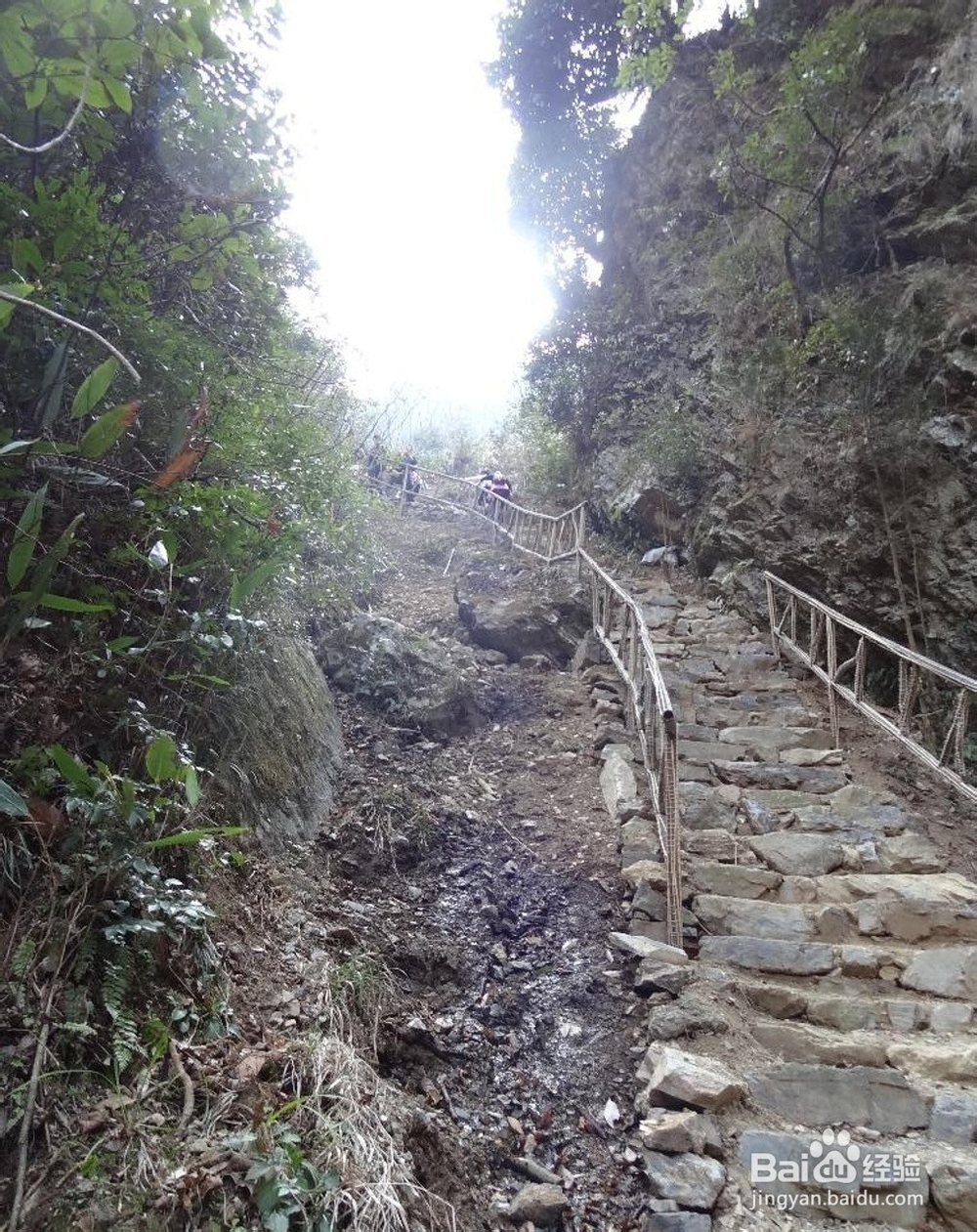 千岛湖旅游记