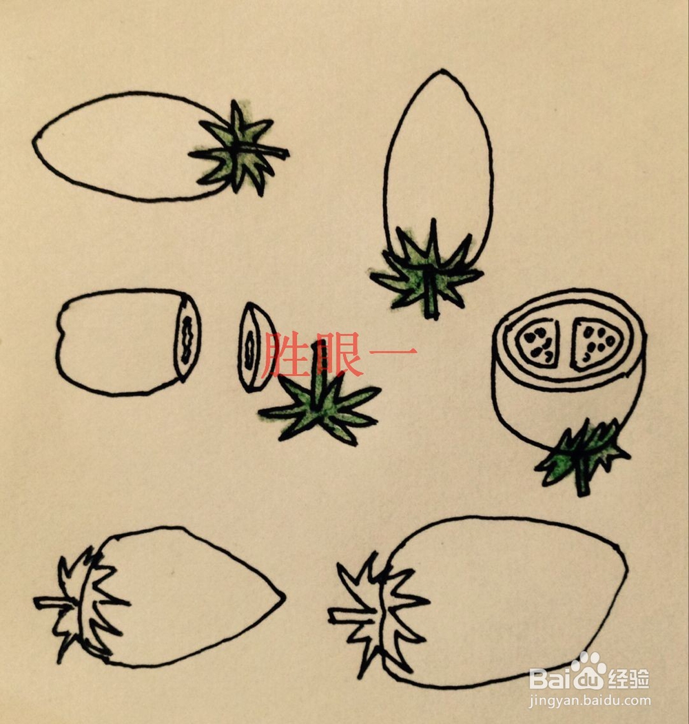 怎样画切开的小西红柿呢?