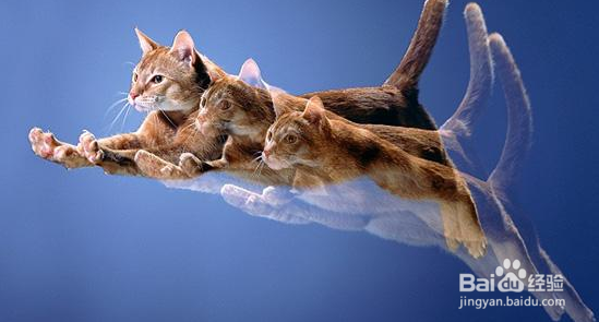 多重曝光的拍摄方法