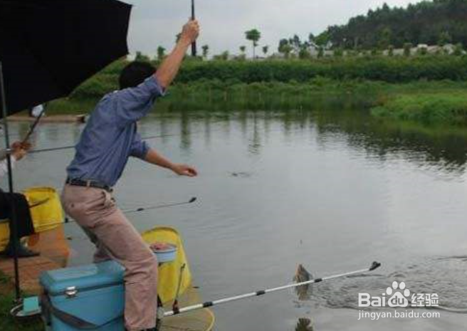 什么是台钓？手钓和悬浮坠钓法与台钓有区别吗