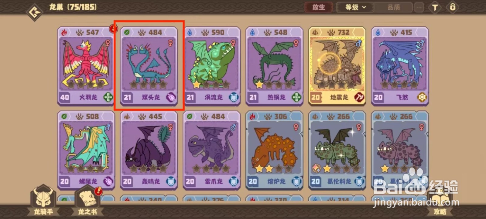 驯龙高手旅程双头龙怎么升到40级？